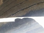 Полуприцеп штора Krone SD 8