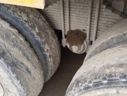 Самосвал Shacman SX33186T(X3000) 12