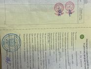 Экскаватор-погрузчик RUNMAX SE440 0