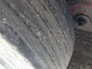 Полуприцеп бортовой тентованый Kogel SN24 6