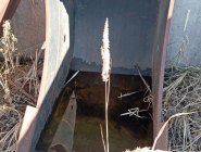 Экскаватор гусеничный CAT 319CLN. 20 Экскаватор гусеничный CAT 319CLN. 20