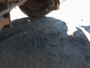 Полуприцеп шторно-бортовой Krone SD 15