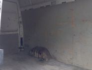 Mercedes-Benz Sprinter Classic 2.1 MT 21